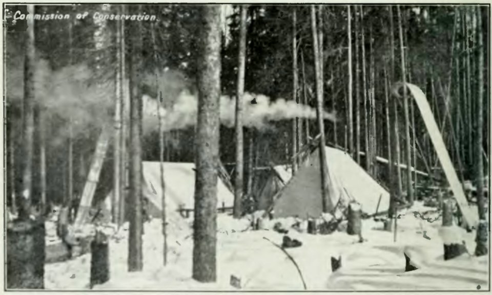 Leavitt - Protection des forêts au Canada, 1912 (page 65b crop)