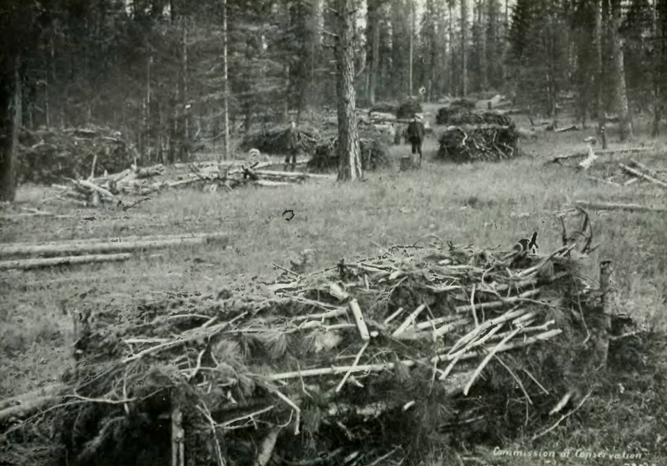 Leavitt - Protection des forêts au Canada, 1912 (page 83 crop)