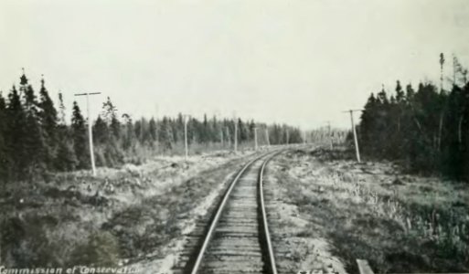Leavitt - Protection des forêts au Canada, 1912 (page 33 crop)-2