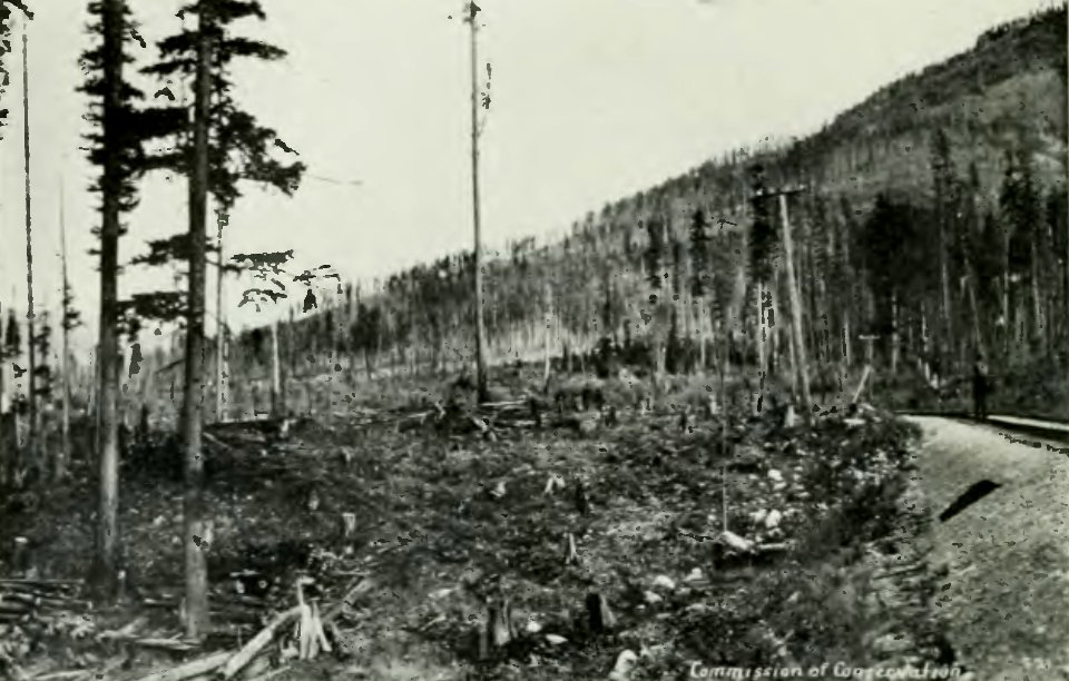 Leavitt - Protection des forêts au Canada, 1912 (page 55 crop)