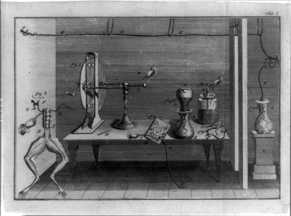 Legs of dissected frogs, and various metallic apparatus used to measure what was thought to be electricity flowing in animals LCCN92518867