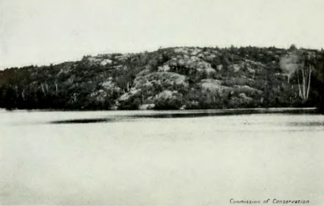 Leavitt - Protection des forêts au Canada, 1912 (page 225 crop)