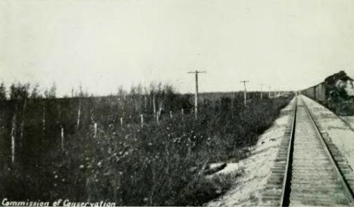 Leavitt - Protection des forêts au Canada, 1912 (page 33 crop)