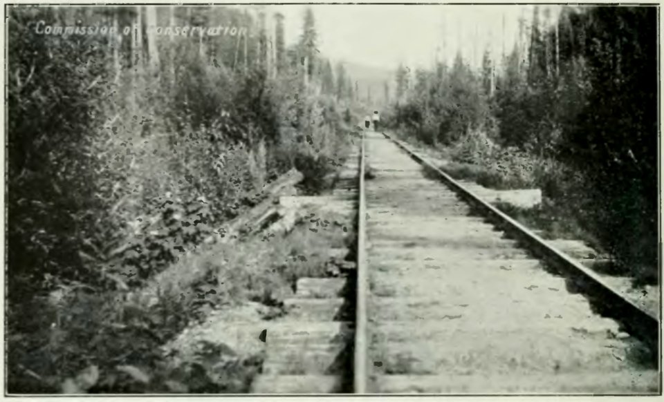Leavitt - Protection des forêts au Canada, 1912 (page 65a crop)