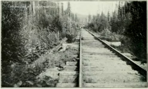Leavitt - Protection des forêts au Canada, 1912 (page 65a crop)
