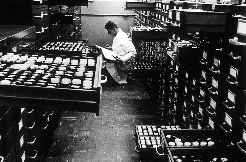 Lederle laboratories