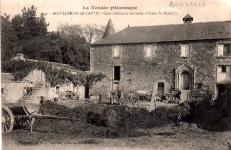 Le vieux château de Beaupuy