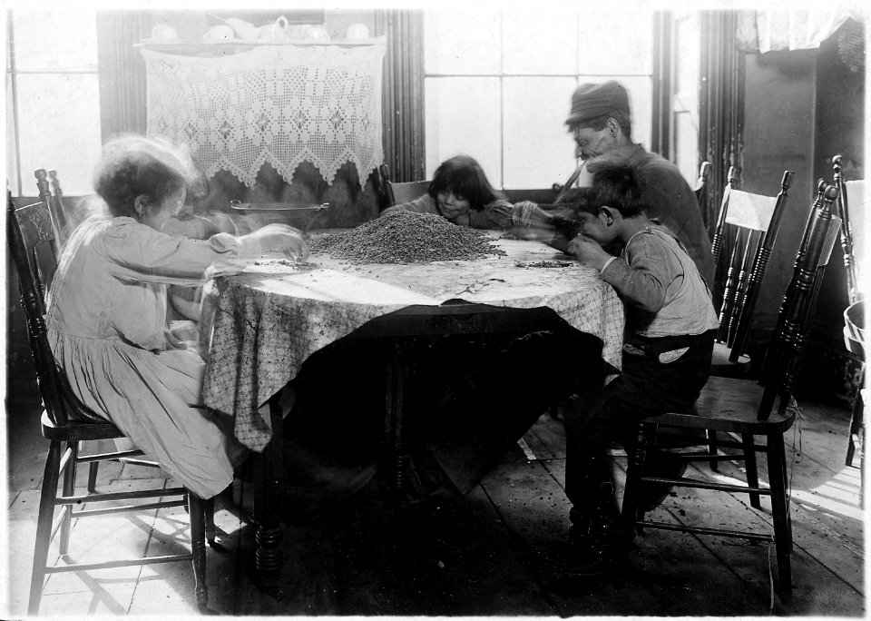 Left to right, Florence Lieto, 10 years old. Jennie Macola, 10 years old. Mamie Macola, 8 years old. Nicholas Macola... - NARA - 523284