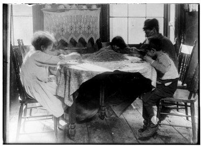 Left to right- Florence Lieto, 10 years old. Jennie Macola, 10 years old (hidden) Mamie Macola, 8 years old. Nicholas Macola, 6 years old. Picking coffee sweepings. The sweepings cost 25 LOC nclc.05454