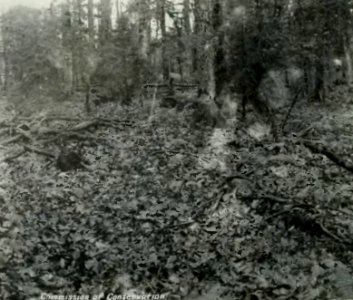 Leavitt - Protection des forêts au Canada, 1912 (page 109 crop)