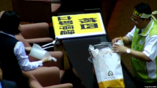 Legislative Yuan from VOA (2)