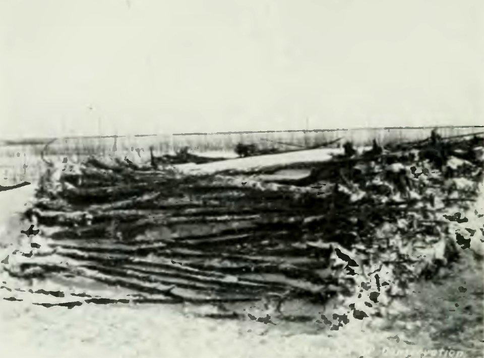 Leavitt - Protection des forêts au Canada, 1912 (page 189 crop)