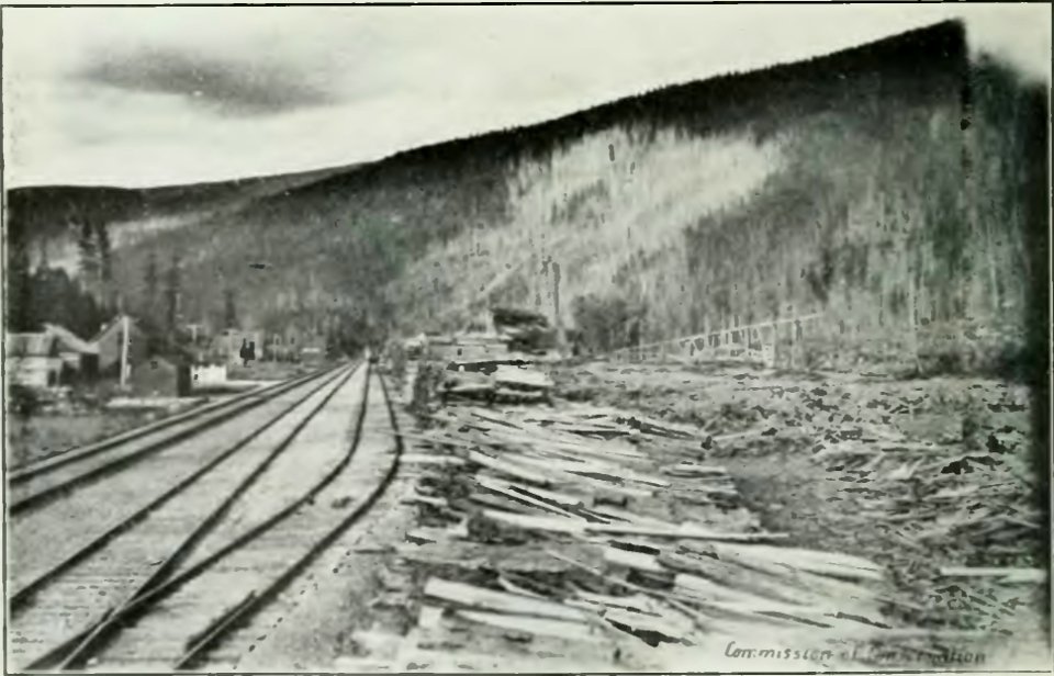 Leavitt - Protection des forêts au Canada, 1912 (page 23 crop2)