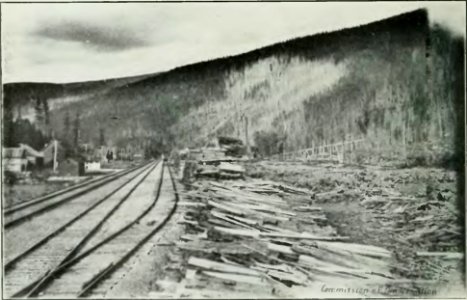 Leavitt - Protection des forêts au Canada, 1912 (page 23 crop2)