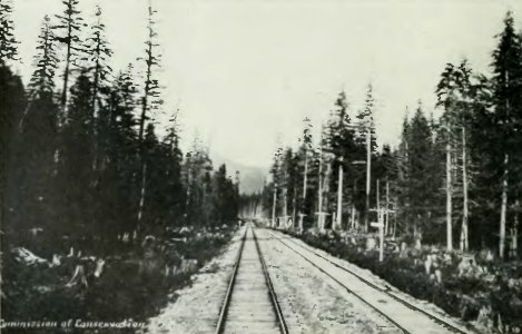 Leavitt - Protection des forêts au Canada, 1912 (page 55 crop)-2
