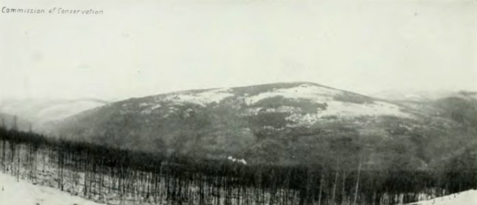 Leavitt - Protection des forêts au Canada, 1912 (page 73 crop)-2