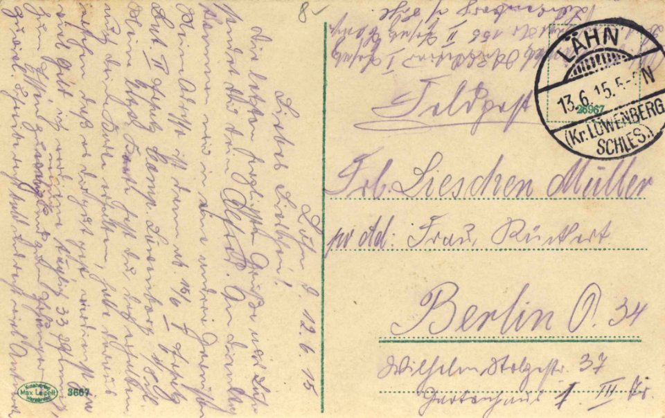Lehnhaus, Schlesien - Stadtansicht mit Burg (back) (Zeno Ansichtskarten)