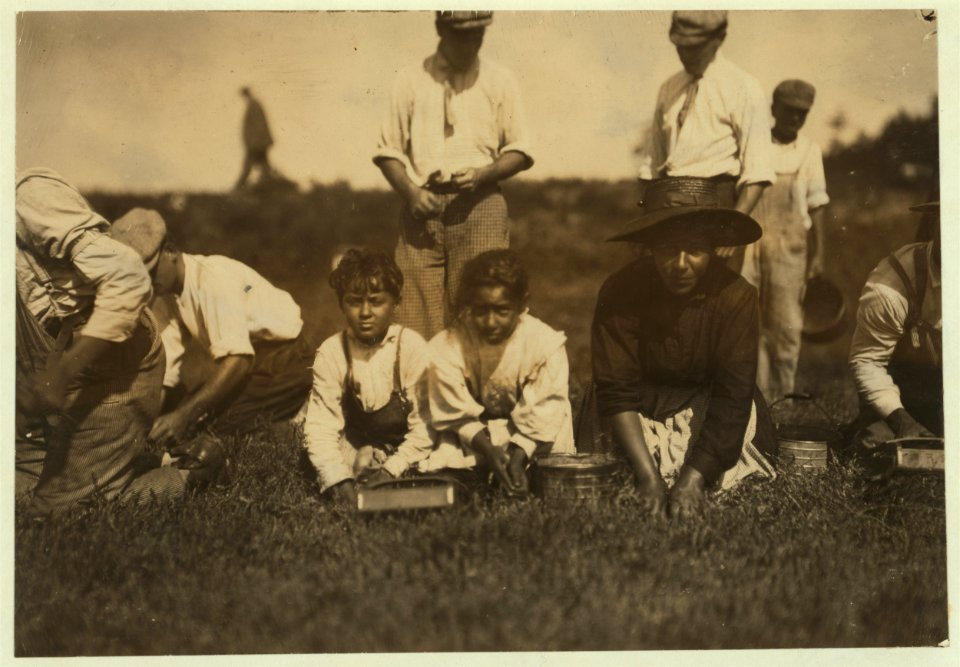 Lena Rose, 7 years old. Lives East Falmouth. Picks 6 to 9 measures a day. Manuel Rose, 9 years old. Picks 9 measures. LOC nclc.00163