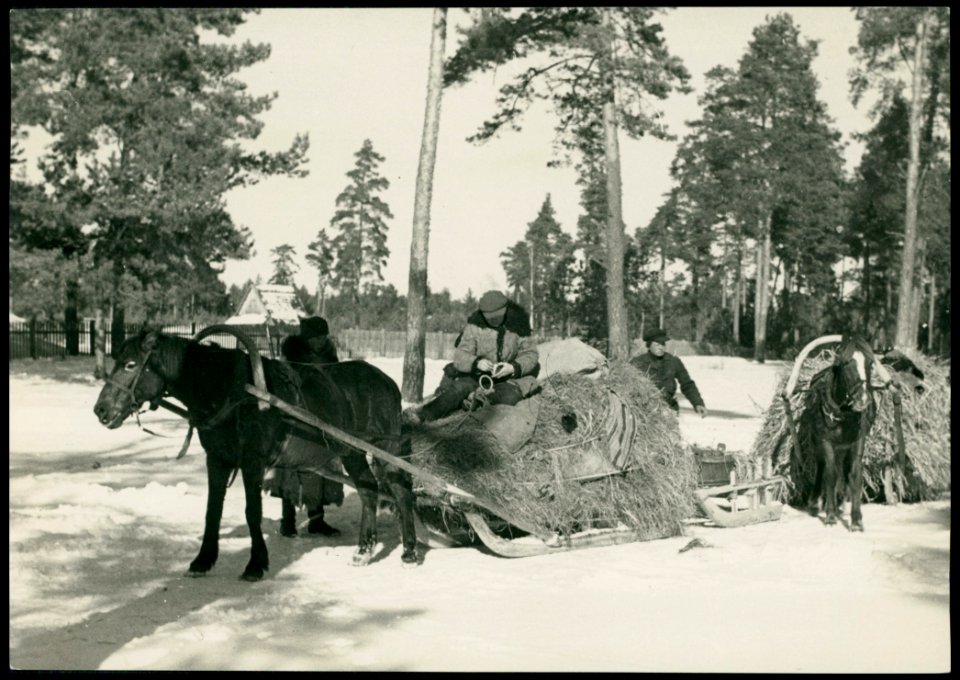 Lenin. Ленін (H. Poddębski, 1930-39)