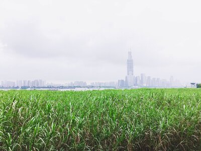 Wuhan riverside the yangtze river photo