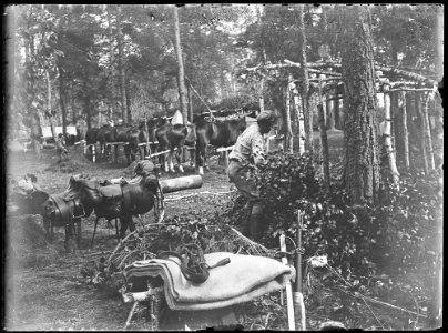 Legiony Polskie na Wołyniu 02, 1916