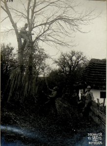 Legung einer Feldtelephonleitung in Podhajce. (BildID 15521735)
