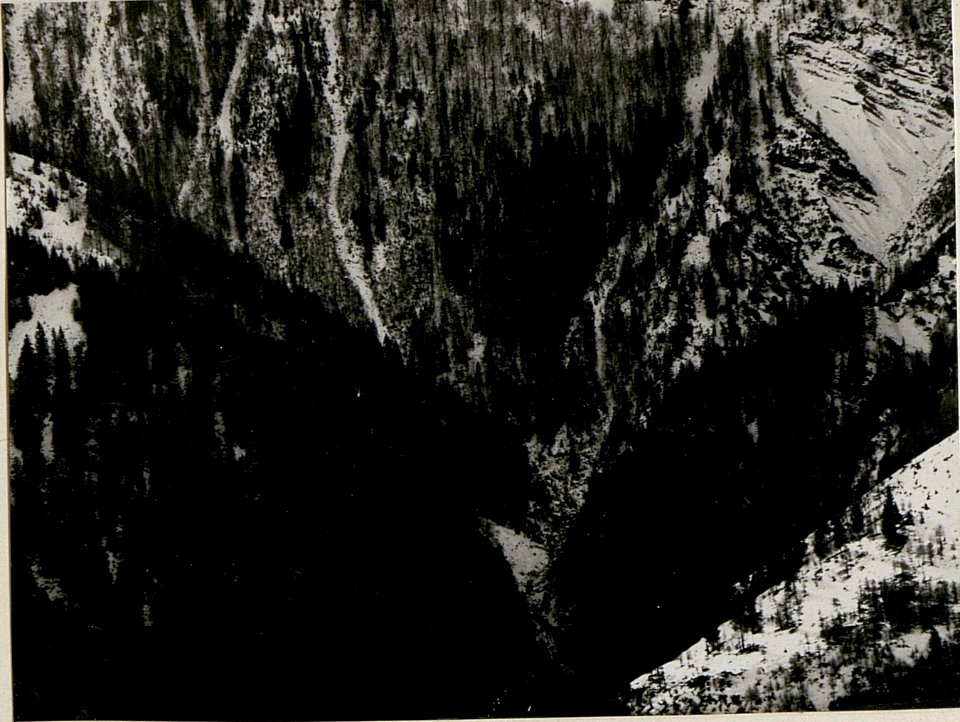 Leopoldskirchner-Alm bis Fellatal von der Brisia aus gesehen. II. Teilbild (BildID 15518831)