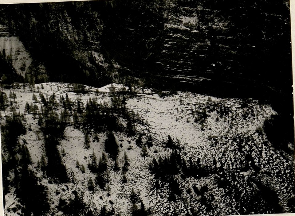 Leopoldskirchner-Alm bis Fellatal von der Brisia aus gesehen. V. Teilbild (BildID 15518852)