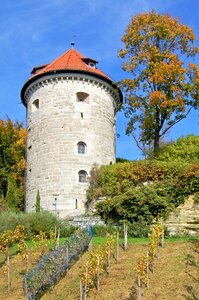 Historically restored renewed