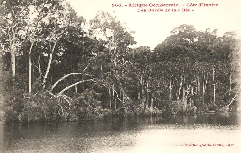 Les bords de la Bia (Côte d'Ivoire)