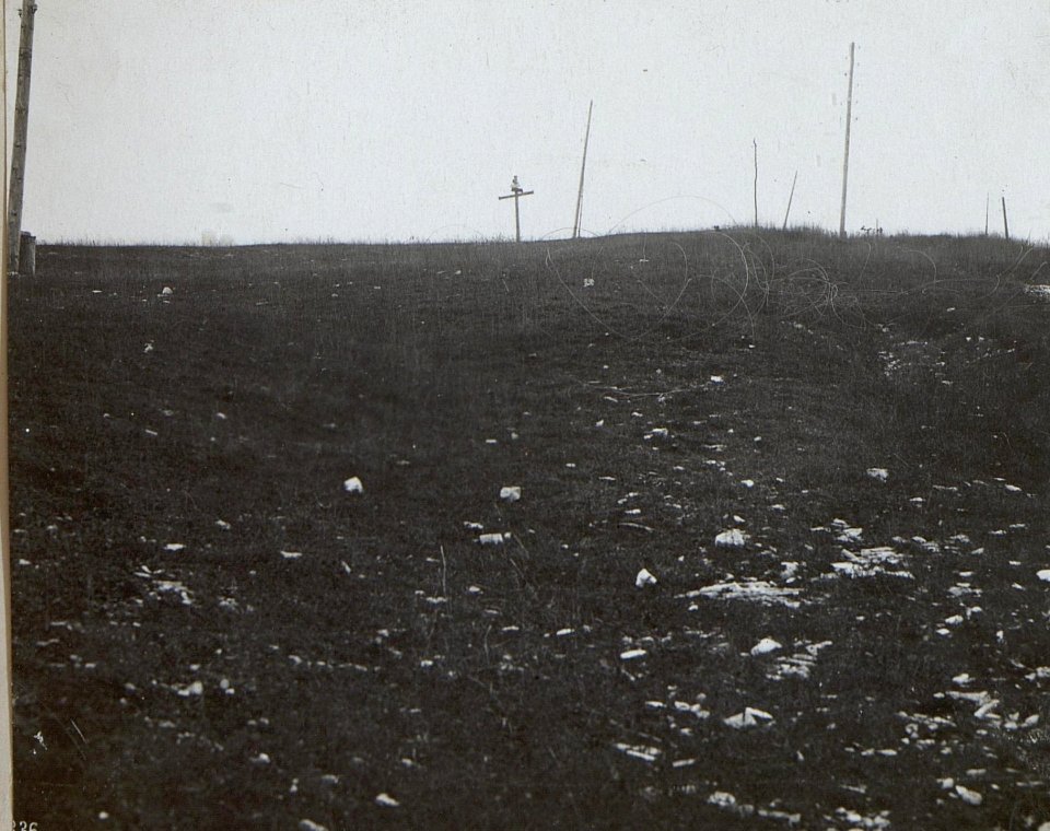 Lerche (Triangulierungspunkte.) (BildID 15648286)