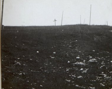 Lerche (Triangulierungspunkte.) (BildID 15648286)