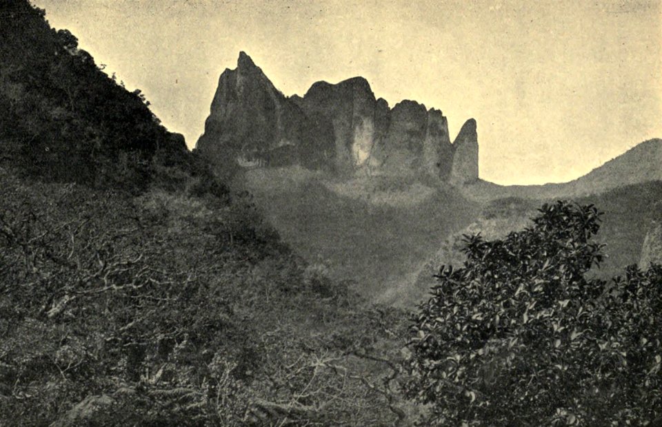 Les Archives Au Diadème, head of the Fautaua, by F. Homes