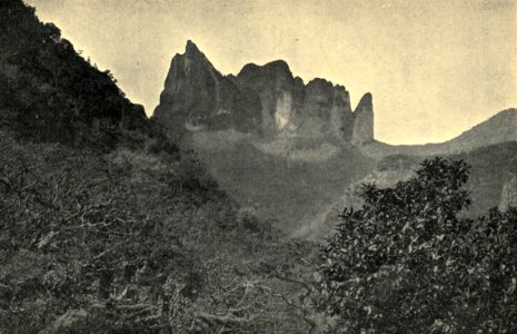 Les Archives Au Diadème, head of the Fautaua, by F. Homes