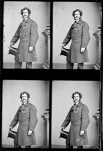 Lester Wallack, Actor - NARA - 526668
