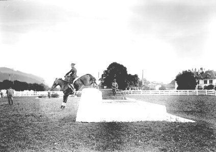 Leutnant Halder am Piano - CH-BAR - 3239777