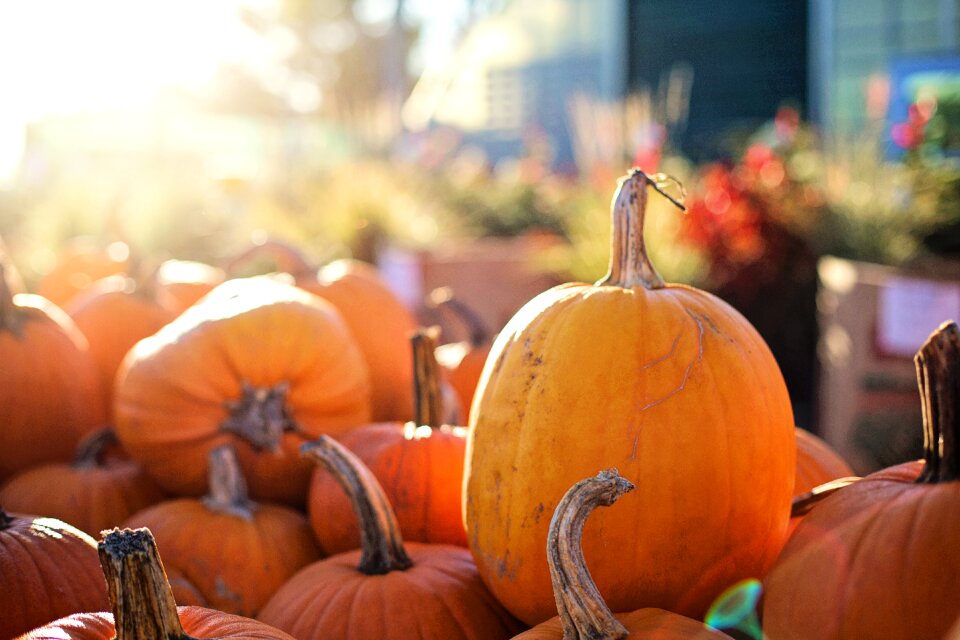 Autumn october orange