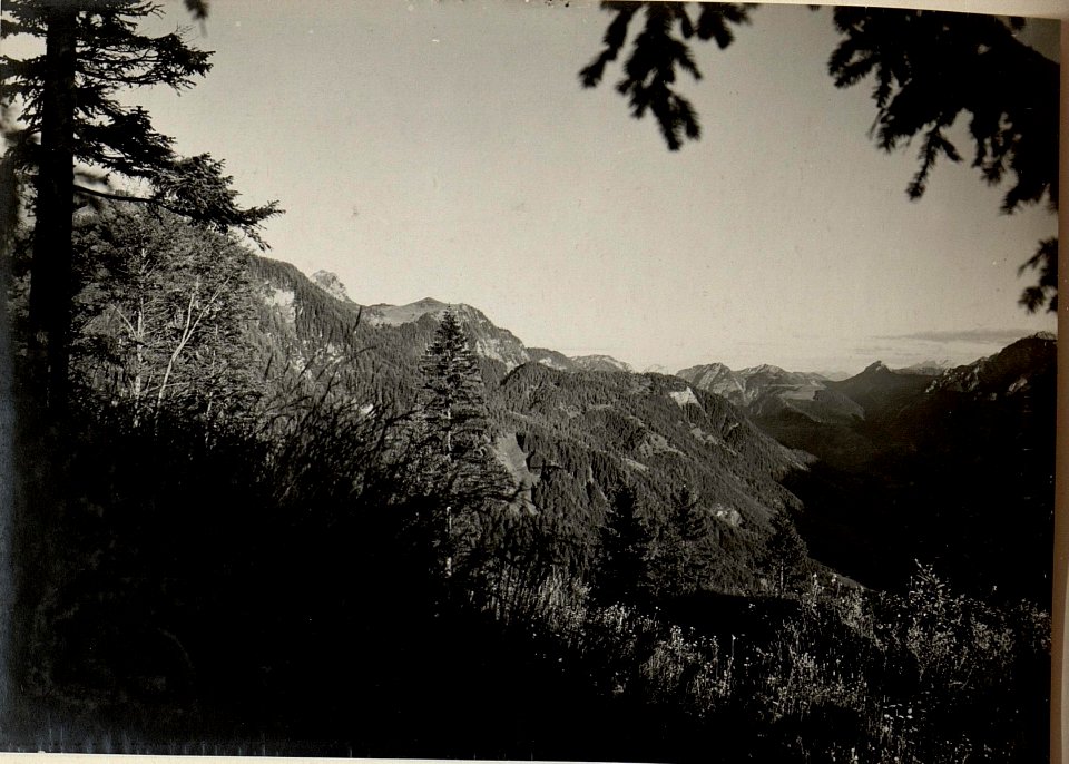 Leopoldskirchneralm vom BASKON aus.Auf gen.am 19.Juli 1916. (BildID 15478206)