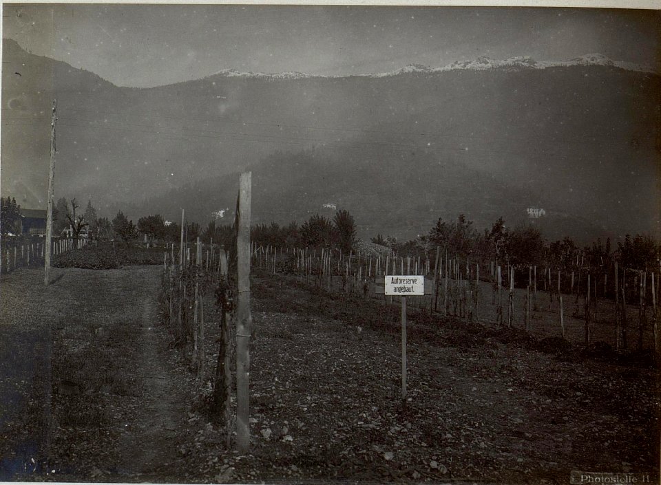 Levico. Autoreserve. Gemüsegarten. (BildID 15649024)