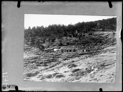 Les barraques del Cadí amb un cavall carregat al davant