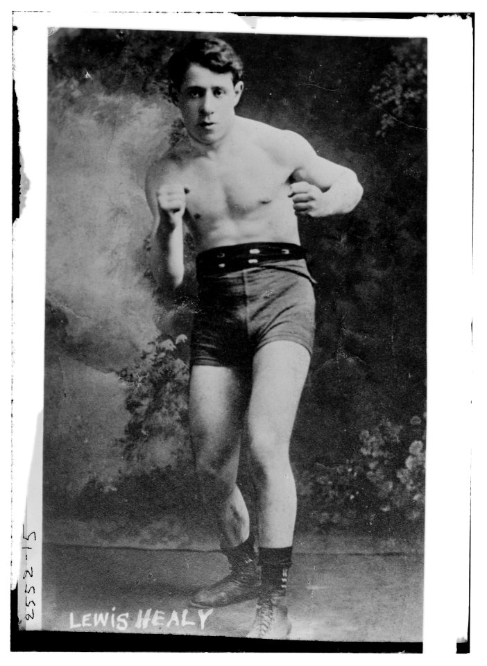 Lewis Healy LCCN2014692059