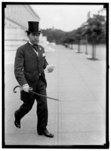 LEWIS, JAMES HAMILTON. REP. FROM WASHINGTON, 1897-1899; SENATOR FROM ILLINOIS, 1913-1919, 1931- LCCN2016864623