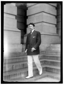 LEWIS, JAMES HAMILTON. REP. FROM WASHINGTON, 1897-1899; SENATOR FROM ILLINOIS, 1913-1919, 1931- LCCN2016865273