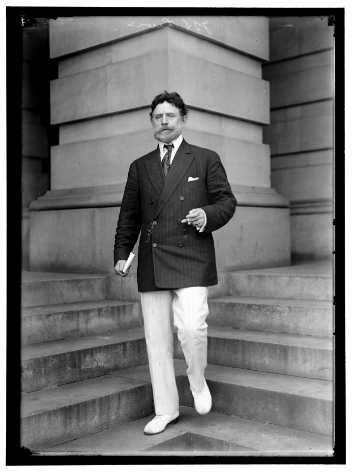 LEWIS, JAMES HAMILTON. REP. FROM WASHINGTON, 1897-1899; SENATOR FROM ILLINOIS, 1913-1919, 1931- LCCN2016865272