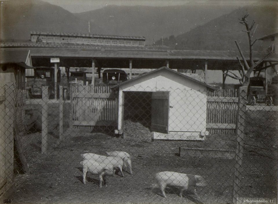 Levico. Auto-Reserve. Schweinestall. (BildID 15648587)