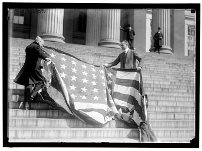 LIBERTY LOANS. CARTER GLASS AND F.R. WILSON WITH CAPITOL FLAG ON TREASURY STEPS LCCN2016869802