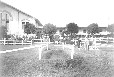 Leutnant Müller beim Sprung über den Graben - CH-BAR - 3239783