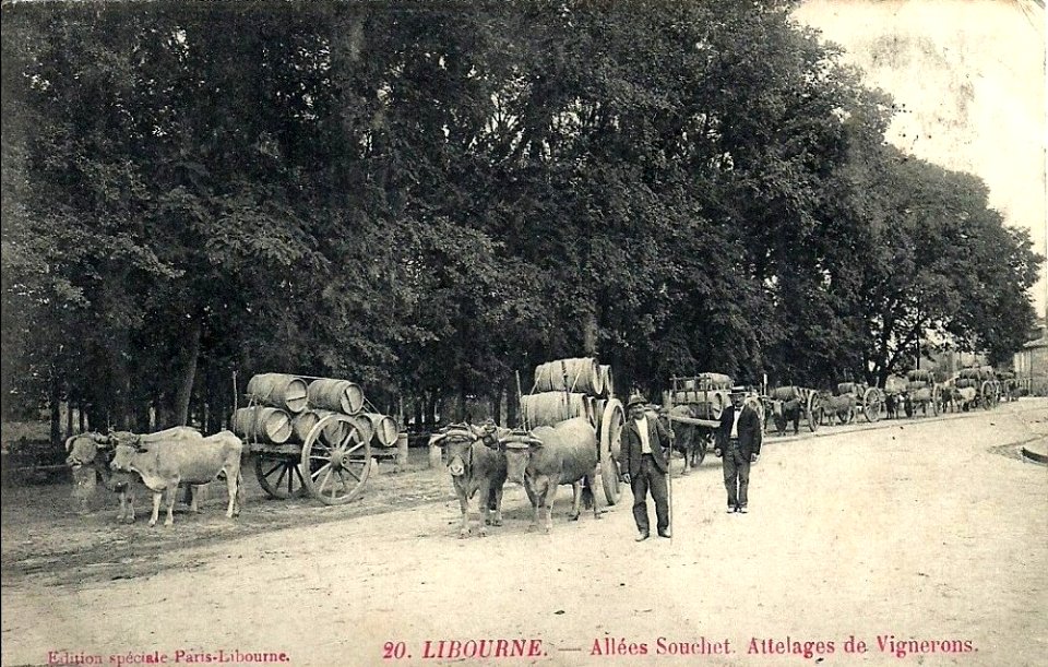 Libourne allées Souchet 3