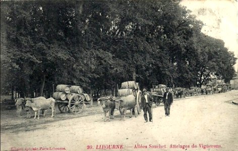 Libourne allées Souchet 3