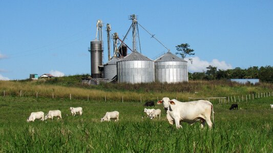 Industry field grass